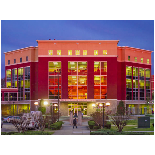 The Bama State Experience